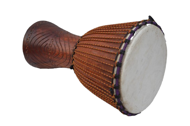profi djembe kaufen